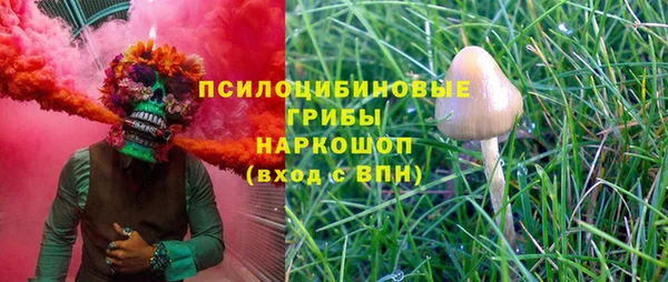 гидропоника Богородицк