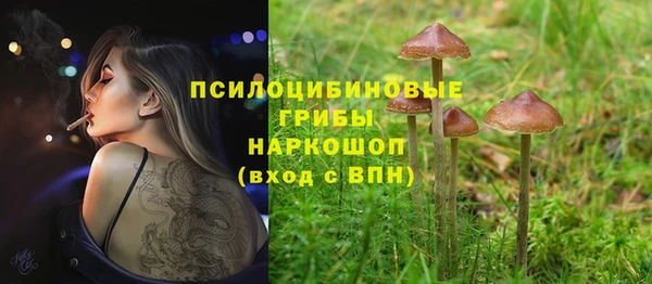 гидропоника Богородицк