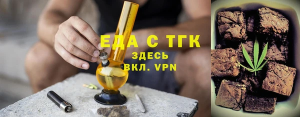 дживик Бородино